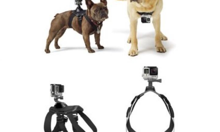 VolksPro Dog Harness