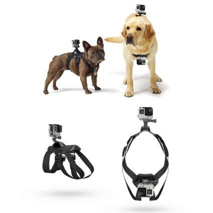 VolksPro Dog Harness